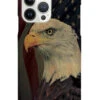 American Eagle - Patriotic Case